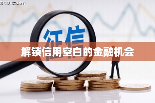 卢氏解锁信用空白的金融机会