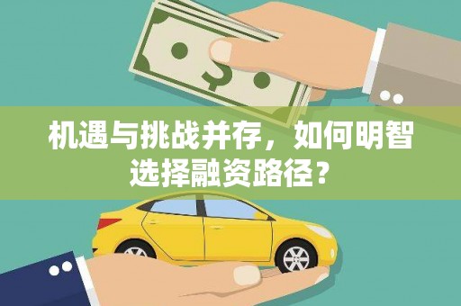 紫金机遇与挑战并存，如何明智选择融资路径？