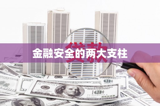 纳溪金融安全的两大支柱