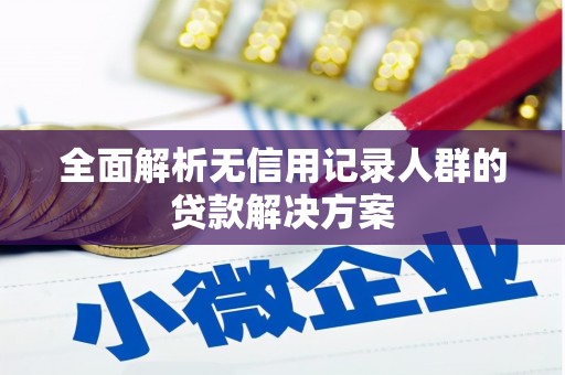 错那全面解析无信用记录人群的贷款解决方案