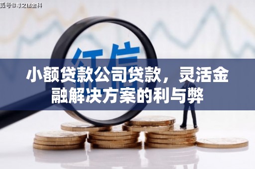 徐水小额贷款公司贷款，灵活金融解决方案的利与弊